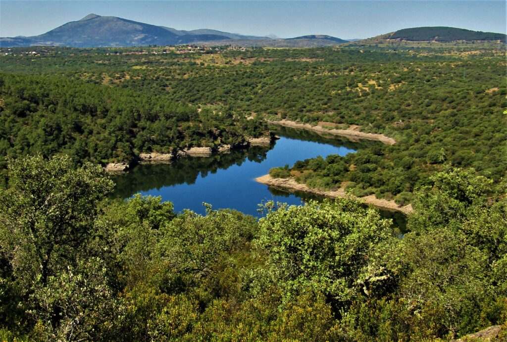 Serrada de la Fuente “Viña la Loma” Ayuntamiento de Puentes Viejas