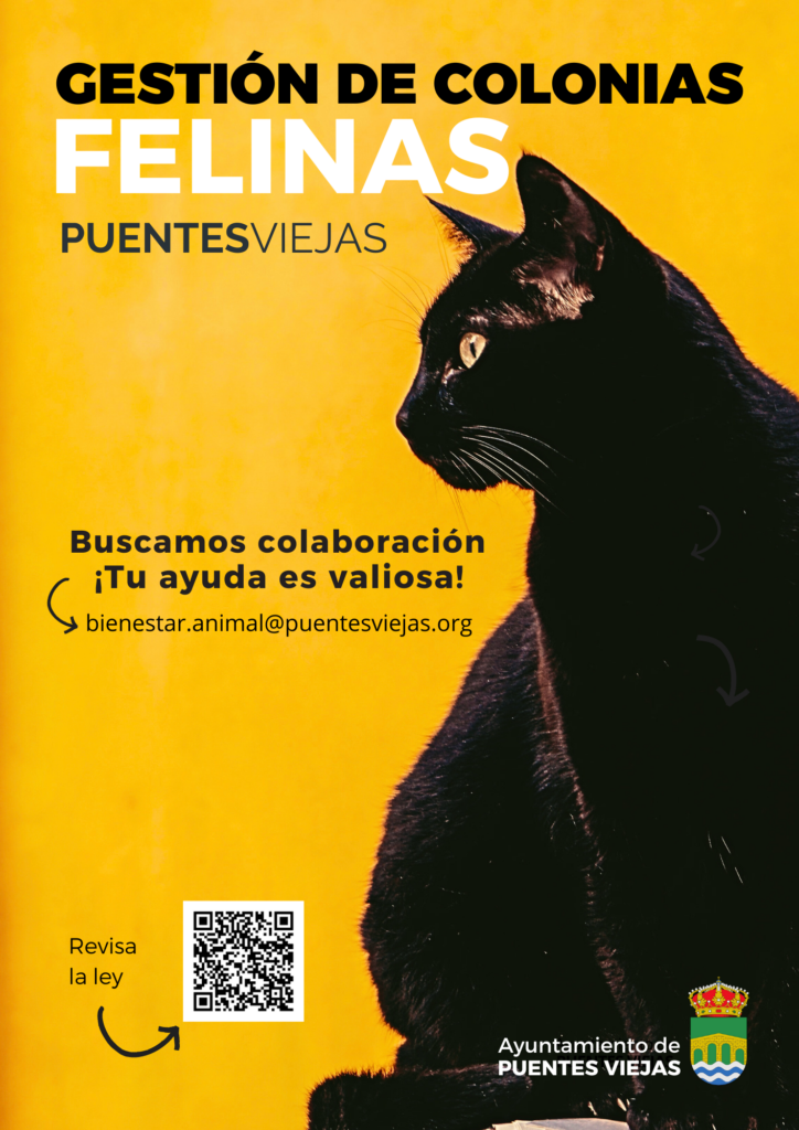Colonias Felinas Gesti n Y Colaboraci n Ayuntamiento De Puentes Viejas