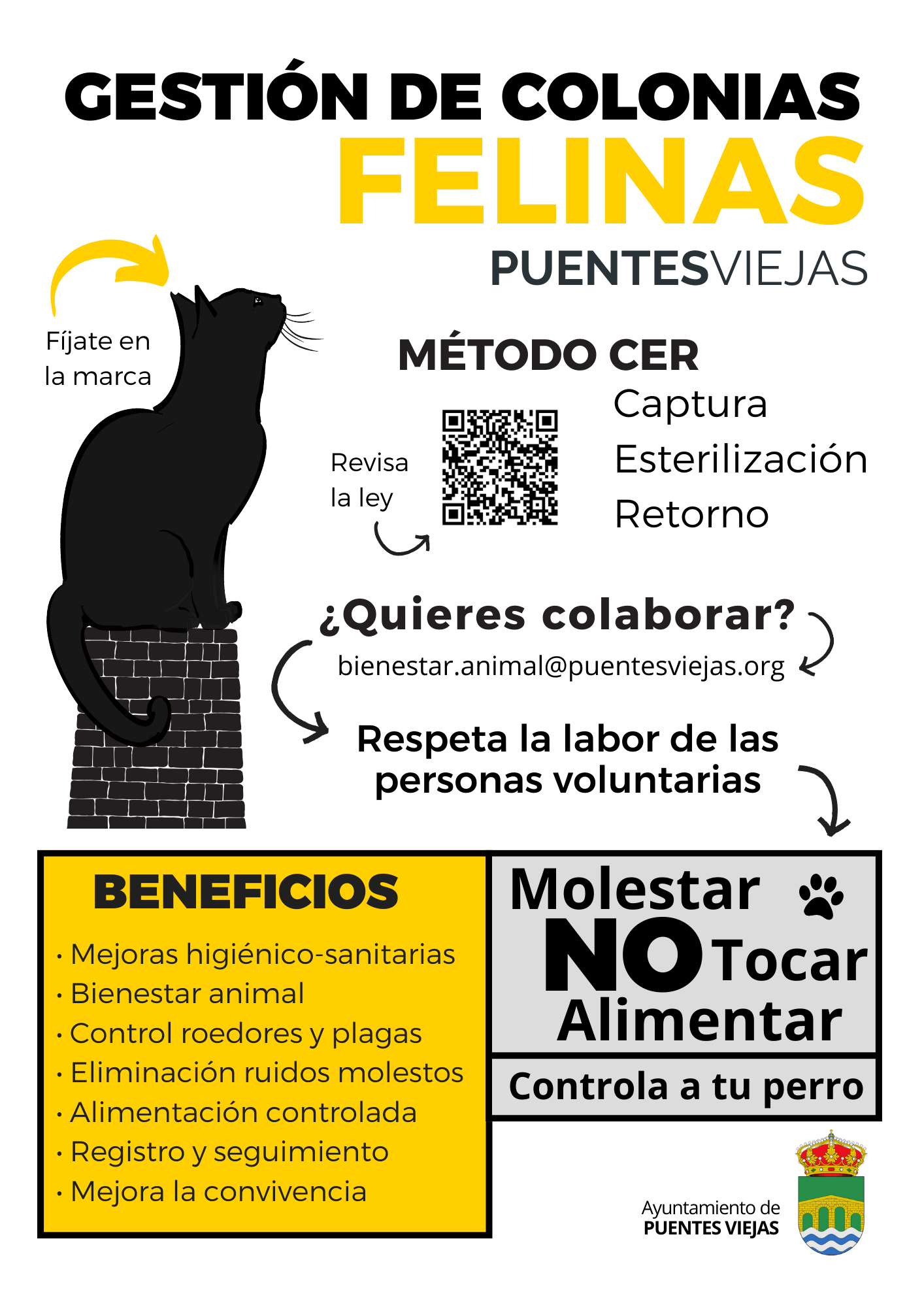 Colonias Felinas Gesti n Y Colaboraci n Ayuntamiento De Puentes Viejas